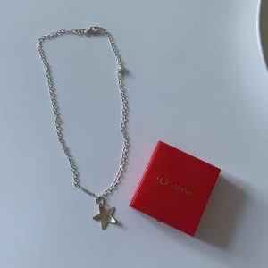 Silver halsband  - Silverhalsband  Asken medföljer 