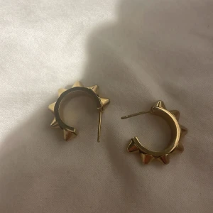 edblad örhängen äkta - guld örhängen från edblad med nitar på (vanligt pris 399 kr) jättebra skick säljer pga av att jag har ett likadant par