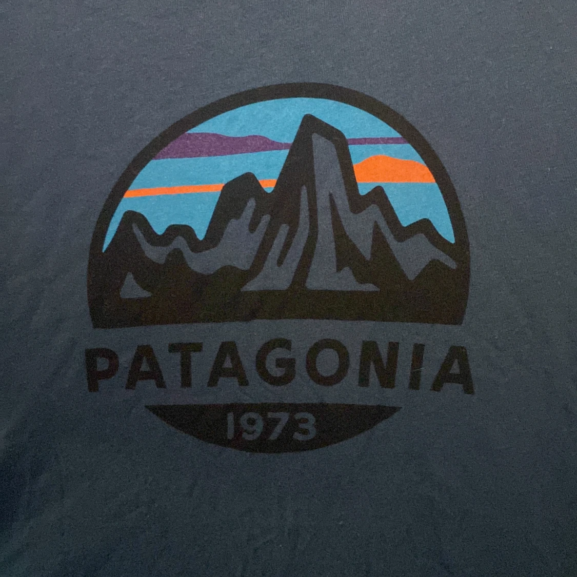 Patagonia T-shirt  - 90