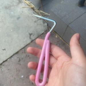 Hovkrats - En vanlig rosa hovkrats