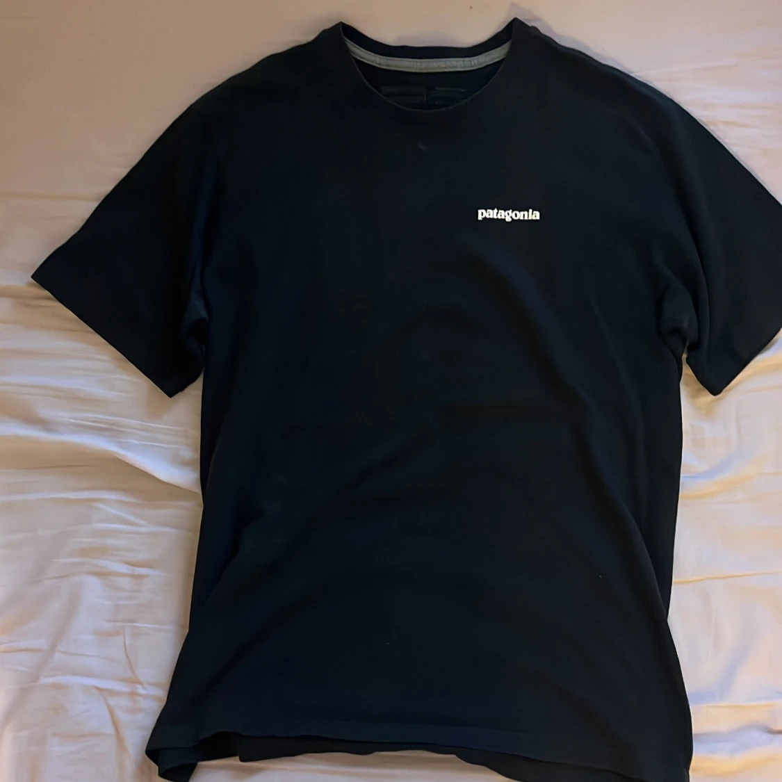 Patagonia t-shirt
