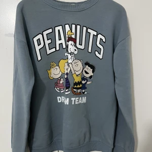 Sweatshirt  - En sweatshirt från hm. Köpt för 250kr. Kan gå ner i pris. Tryck gärna på köp nu. Köparen står för frakten💞💞