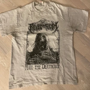 Black metal T shirt - Köpt begagnad, coolt print på framsidan, har ett hål på baksidan vid axeln