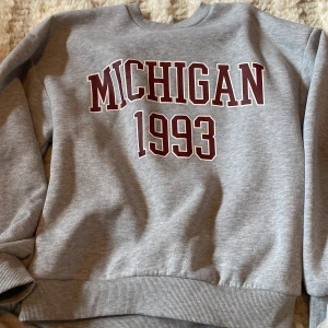  Hoodie  - Skriv till mig om ni undrar något 