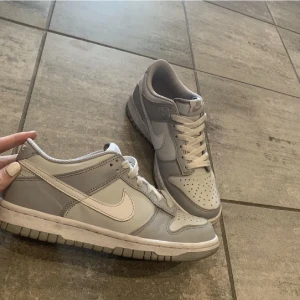 Dunks  - Jättefina Nike Dunks i Two Toned Grey. Storlek 37,5. 