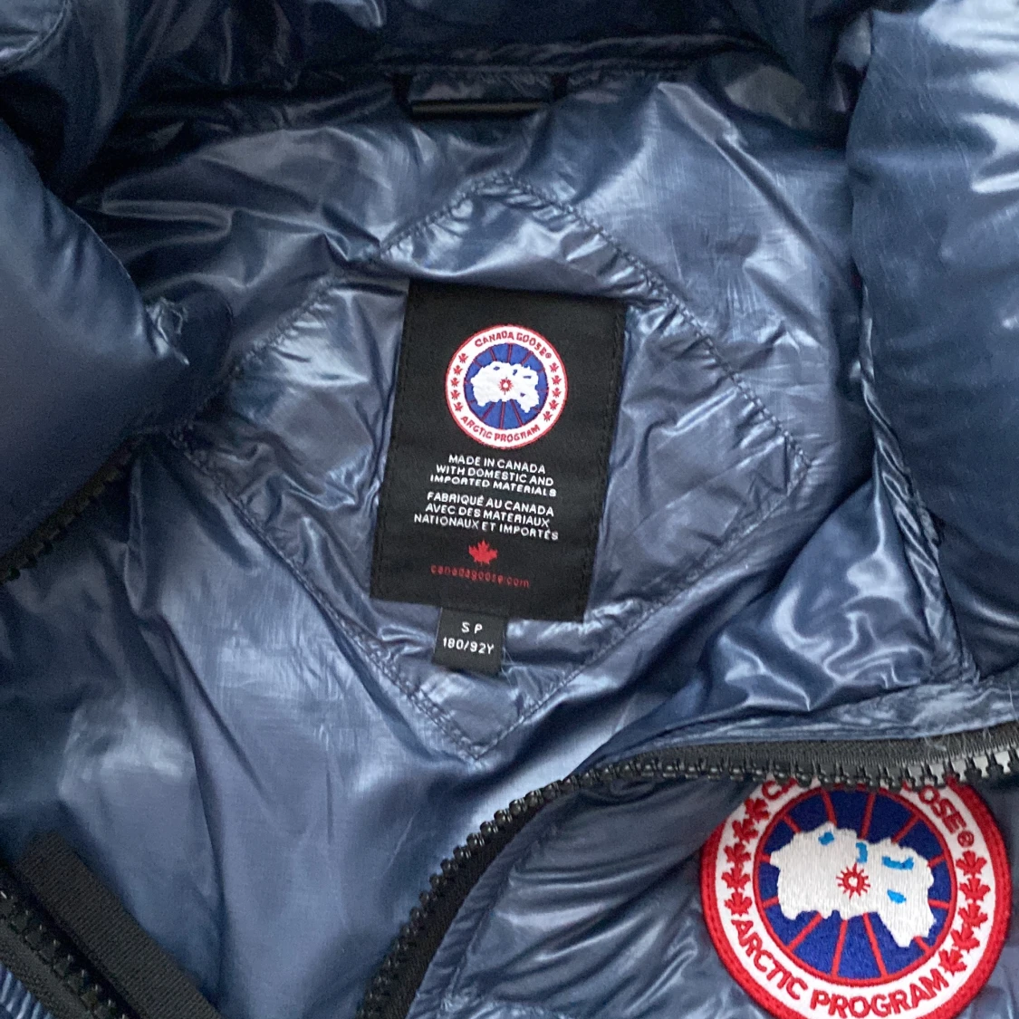 Canada goose - 90