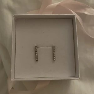 Örhängen  - Örhängen ifrån Blomdahls knappt använda 