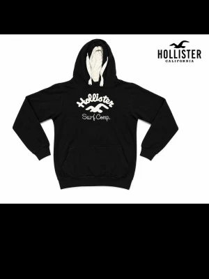 Vintage hollister hoddie  - Tja säljer nu en rätt sällsynt Hollister Hoddie i storlek xs. Priset går att diskuteras vid smidig affär