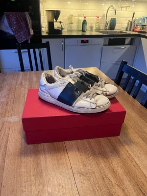 Valentino  - De är inte i topp skick men är fortfarande stylish där av priset, kom gärna med prisförslag