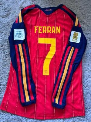 Spanien Vm final 26 Ferran  - En Spanien tröja från Vm final 26 Ferran spelar version, storlek L 