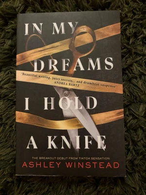 In my dreams I hold a knife av Ashley winstead - In my dreams I hold a knife av Ashley winstead