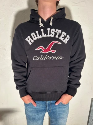 Hollister hoodie~vintage - Svart hoodie från Hollister i storlek S. Modell är 185cm. Priset går att diskuteras vid snabbaffär. Skriv vid minsta fundering.