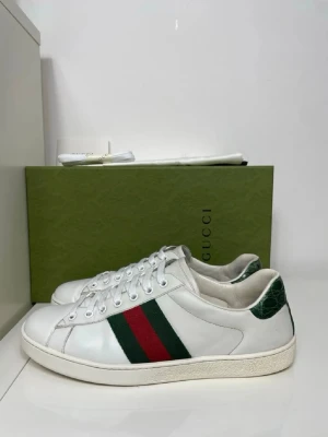 Gucci ace - Storlek 41-42, feta Gucci ace. (Skick 9/10) Vid flera funderingar så är det bara komma DM
