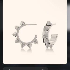 Edblad örhängen  - Edblad örhängen som är använda 2-3 gånger. Nypris 399kr men säljer för 250kr. Skriv privat för fler frågor och bilder💓