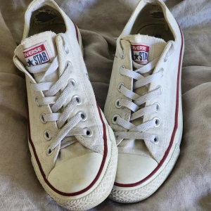 Converse - Vita converse I storlek 37
