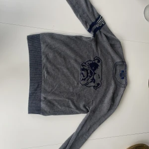 Stickad Ralph lauren tröja - En helt ny grå stickad Ralph lauren tröja som endast är använd 1 gång. Tröjan är helt utan defekter och är i nyskick.                   Nypris: 1000kr  Vårt pris: 350kr