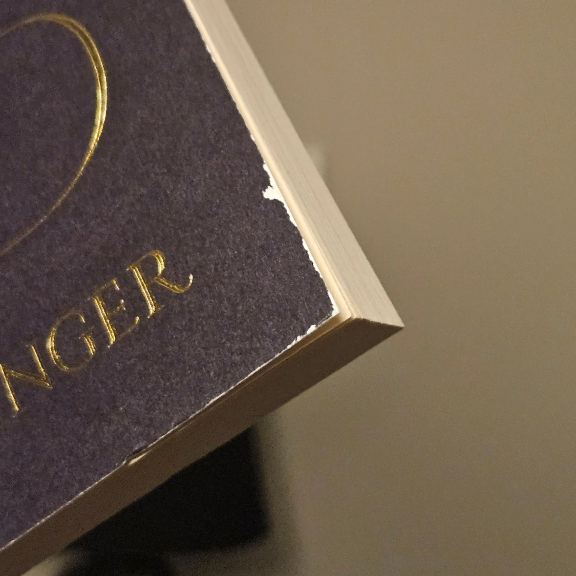 The Catcher in the Rye - 90