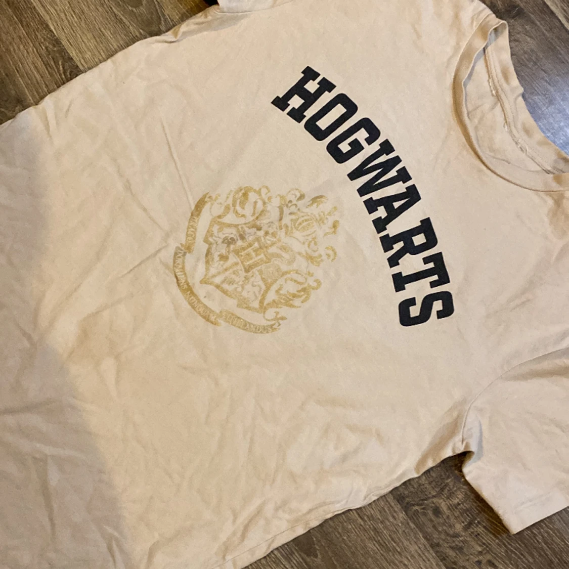 En helt vanlig HOGWARTS tröja  - 91