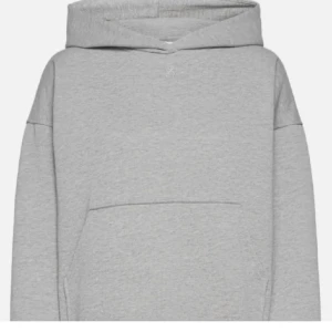 Grå hoodie  - Säljer min jätte fina grå hoodie. Knappt använd. Ser helt ny ut som på bilden. Säljer eftersom den är lite stor. Den sitter lite oversized. Köpte för 600kr. Kontakta vid frågor, m.m ☺️