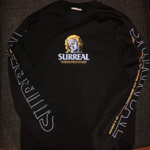 Långärmad Tröja - Cool långärmad tröja från carlings🙌 Nyskick. Endast använd ett fåtal gånger. 