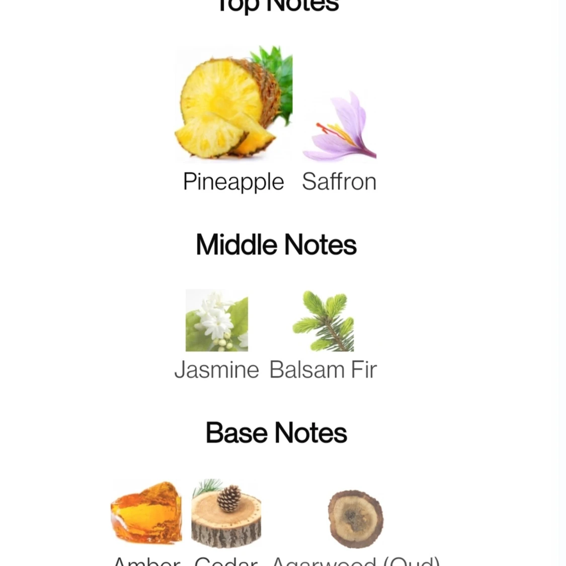 Lattafa qaed al fursan - 91