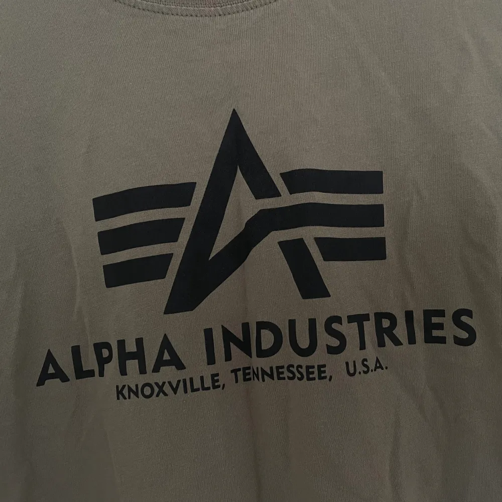 En Alpha Industries t-shirt använd fåtal gånger men inga defekter. Storlek 14 years. Nypris 299kr men säljer för 70kr🥰. T-shirts.