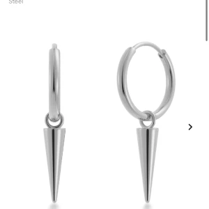 Edblad örhängen  - Säljer mina Edblad örhängen efter som dom inte kommer till någon användning❤️