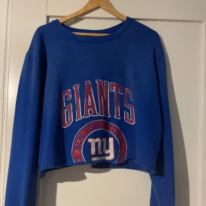 Croppad tröja  - Fint skick, Levis hoodie/collage tröja. Stl XL men sitter endast lite oversized på mig som är S. 