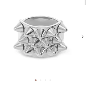 Edblad peak ring  - Säljer då jag inte gillar den så mycket längre!💗 fint skick och alla nitar sitter på!