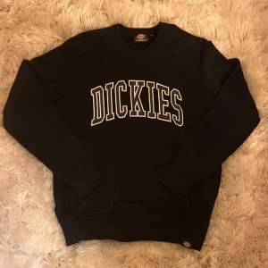 En mörkblå tjocktröja, med Dickies motiv. Storlek small. Den är väldigt bra kvalitet och känns skön på. 