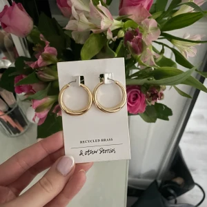 Guld hoops örhängen  - Säljer dessa slutsålda superfina & Other stories örhängena då jag fick råkade få två stycken likadana i present. Aldrig använda💗