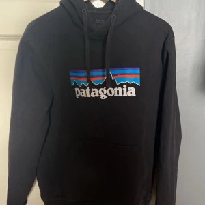 Hoodie patagonia - Patagonia hoodie, köpt för 1000kr, säljs för 450. Inga defekter. Skriv för frågor