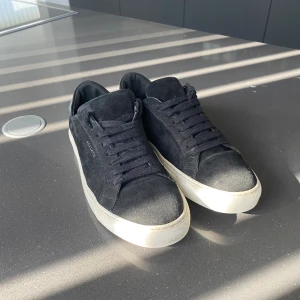 Axel Arigato skor - Ett par Axel Arigato skor i storlek 41! Väldigt bra skick då de varit väl omhändertagna. Inga fläckar överhuvudtaget! Perfekta till sommaren, skicka meddelande vid frågor och funderingar!  