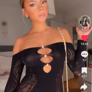 Poster girl dress  - Oanvänd MED tagg Köpt för 1000kr