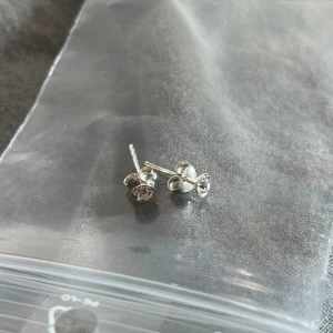 Örhängen  - Silvriga små jättesöta örhängen 🤍✨ aldrig använda, säljer billigt 🫶🏻 använd gärna köp nu! 