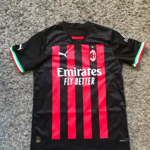 Milan hemma tröja 2022/2023. Tröjan är i 8/10 skick.  Tröjan är fake. 