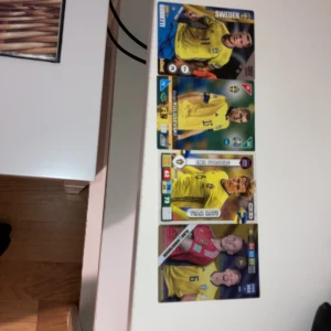 Sveriges främsta spelare - Ett ultimat erbjudande 4 landslag spelare som inte har några repor.som går för ett extremt pris. Skriv till mig om ni är intriserad.så löser vi det 😁😁  