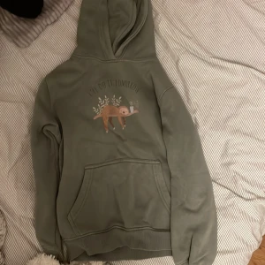 Grön hoodie från Entzia Junior - En bekväm grön hoodie från Entzia Junior med ett tryck av en sengångare och texten 'I'll do it tomorrow'. Hoodien har en stor ficka framtill och ribbstickade muddar vid ärmslut och nederkant.