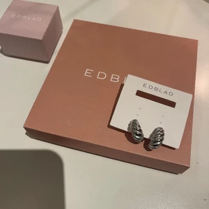 Edblad örhängen - Örhängen från Edblad Linea creoles L steel. Aldrig använda