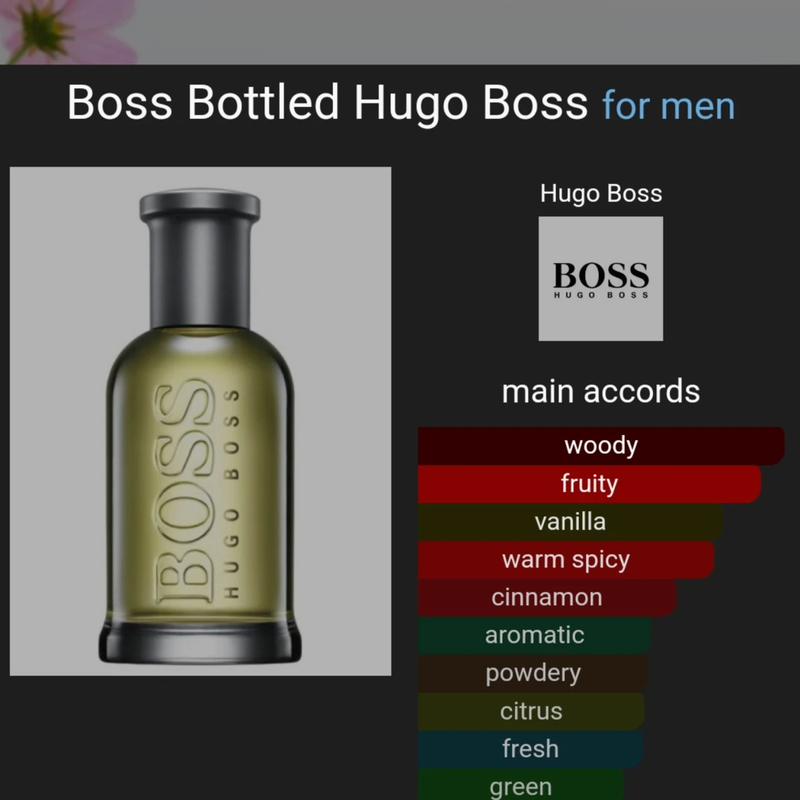 Hugo boss - 91