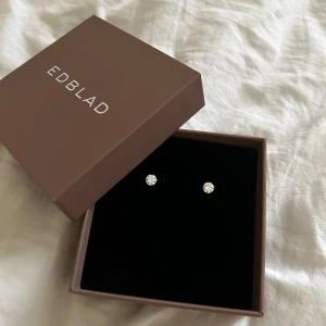 Edblad örhängen - Örhängen från Edblad, aldrig använda!