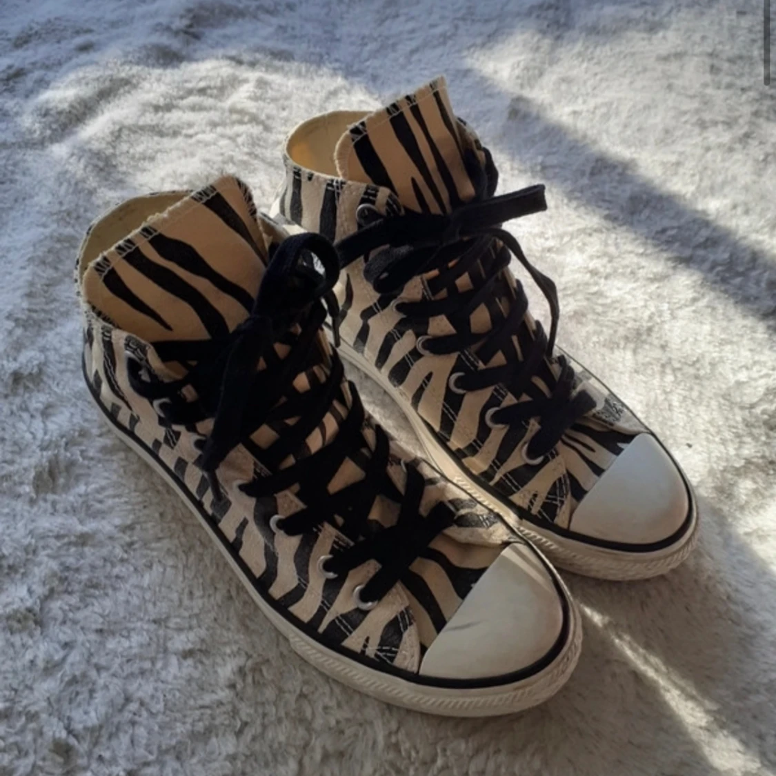 Zebra Converse