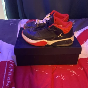 Jordan 3 Max aura skor - Dem är använda och har utbytta sko snören