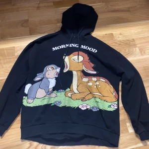 Hoodie - Från zara storlek S. Bra skick 