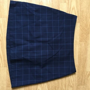 Blårutig kjol från Monki - Kjol från monki, blårutig. Bilden är liggandes så ha mobilen liggande för att få bilden rätt. Använd 1 gång men säljer pga för stor för mig. Skriv för fler bilder eller pris diskutering 🌼🌸