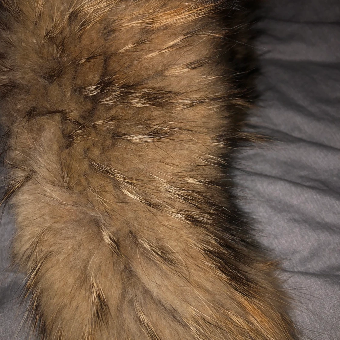 Pälsen till jackan! - 91