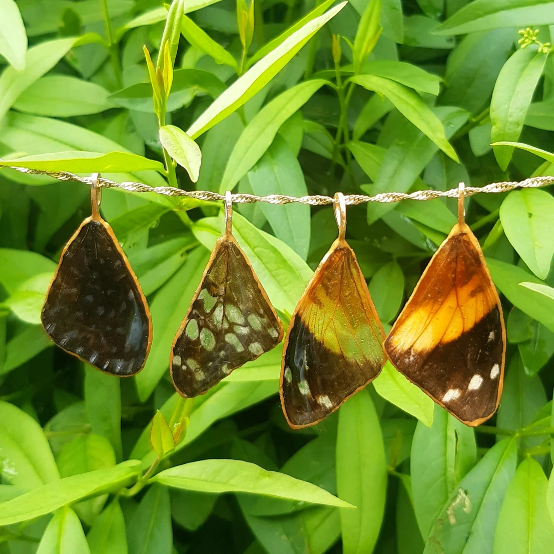Fjärils vingar halsband, butterfly wing necklace