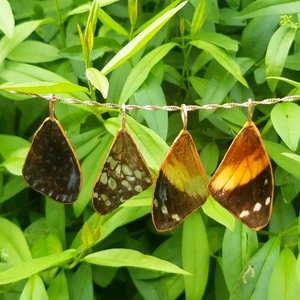 Fjärils vingar halsband, butterfly wing necklace - Handgjorda cruelty free riktiga fjärils vingar i resin, vattentålig