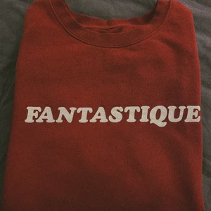 Vintage oversized sweatshirt - Så himla mysig tröja! Oversized och jätteskön. Storlekslappen är borta men tror den är L eller XL. 