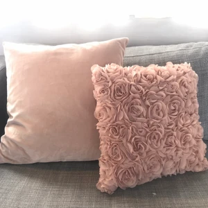 Prydnadskudde - Två stycken rosa prydnadskuddar från Åhlens eller Hm home om jag minns rätt. Den ena är lite större än den med  rosor och båda är i väldigt fint skick 🙌🏼  Jag kan frakta om du väldigt gärna vill men jag räknar med att det kan kosta lite grann. Jag kan mötas upp i Stockholms innerstad stad eller på Värmdö beroende på vad vi kommer överens om. 
